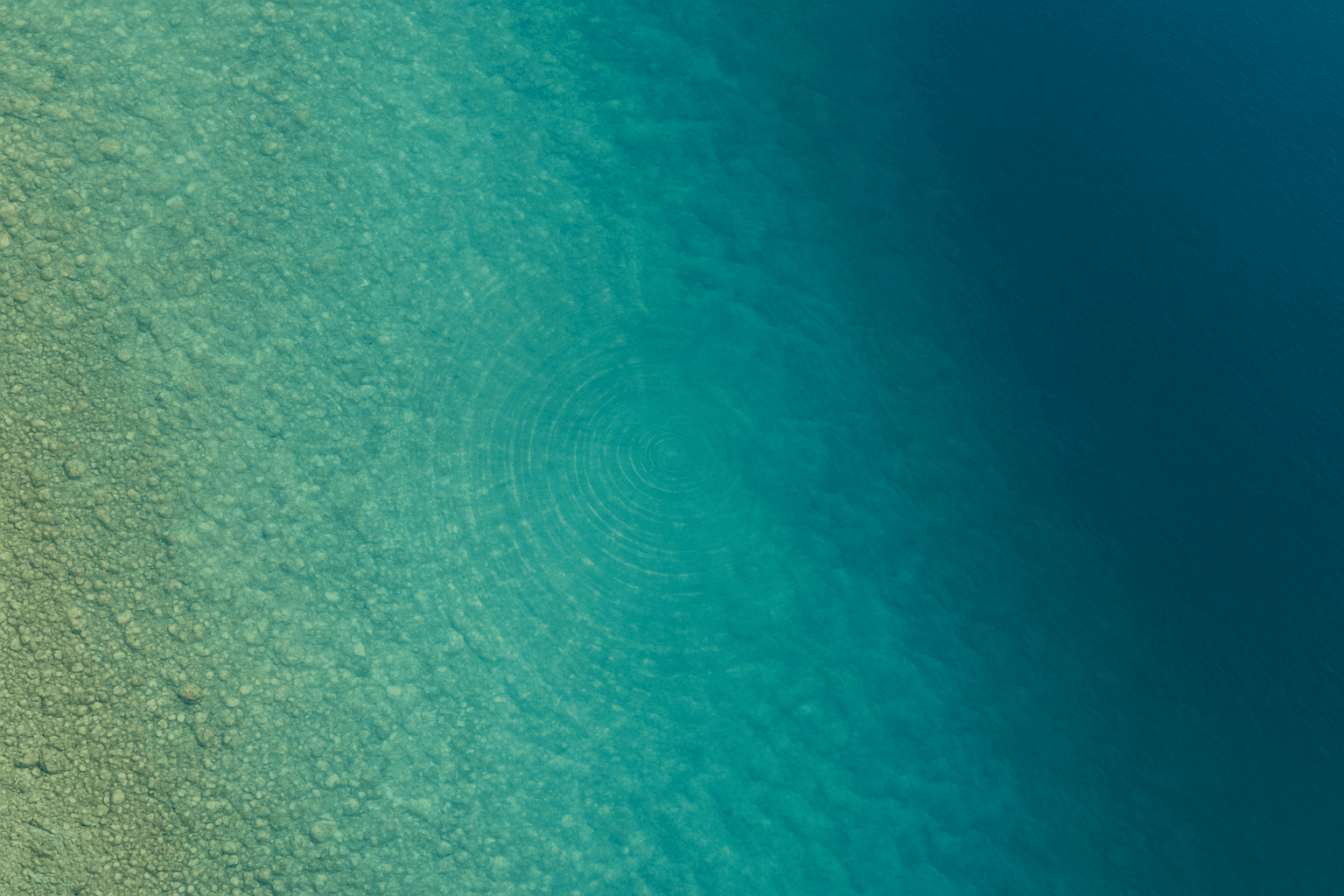 Lake and Reservoir Monitoring